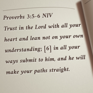 Proverbs 3:5-6 NIV Trust in the Lord with all your heart and lean not on your own understanding; [6] in all your ways submit to him, and he will make your paths straight.